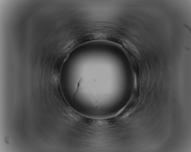 X0000091980329200709131417