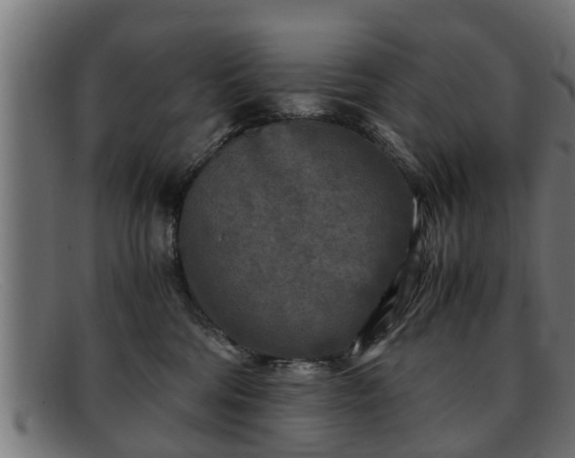 X0000091980330200709131417