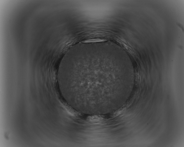 X0000091980331200709131417