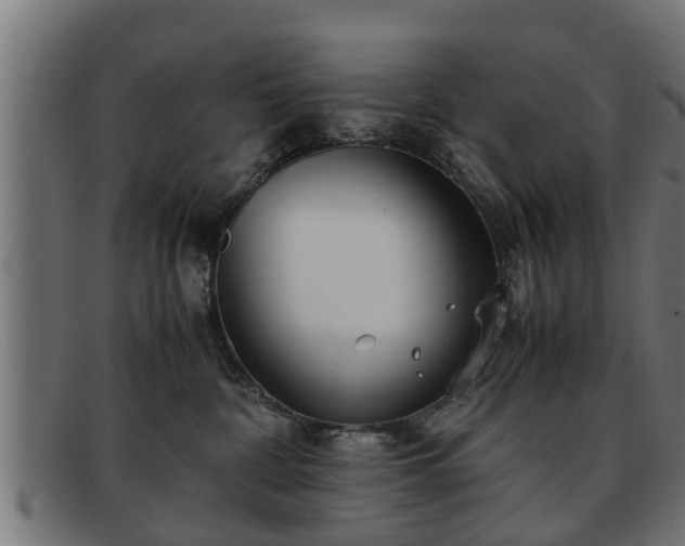 X0000091980332200709131417