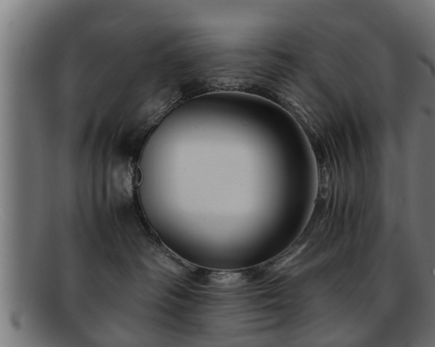 X0000091980334200709131417