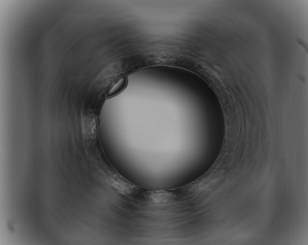 X0000091980336200709131417