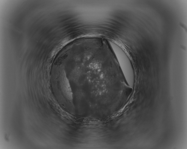 X0000091980337200709131416