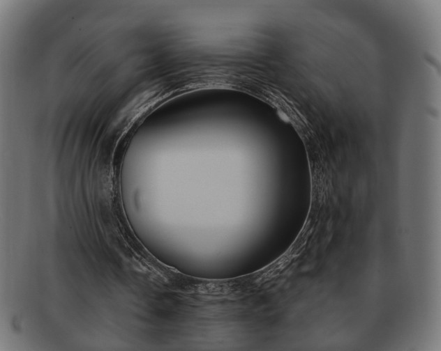 X0000091980338200709131416