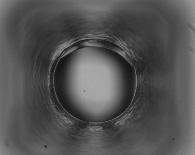 X0000091980340200709131416