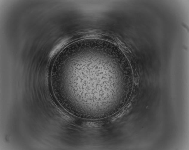 X0000091980341200709131416