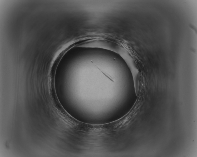 X0000091980342200709131416