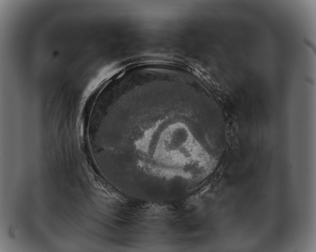 X0000091980343200709131416