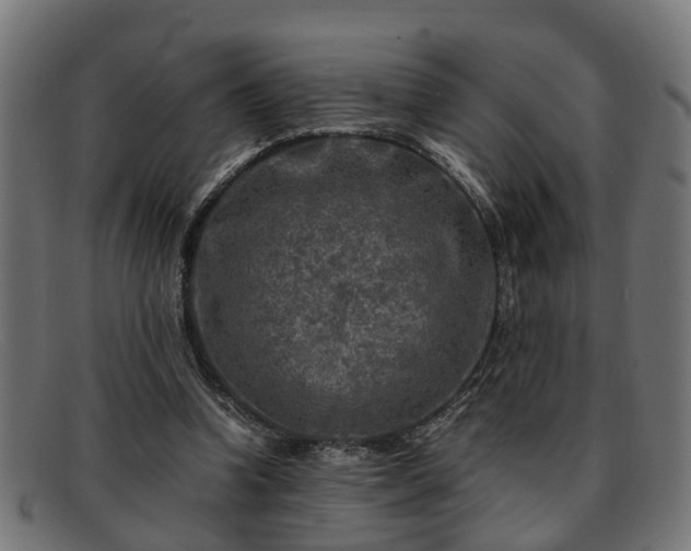 X0000091980346200709131416