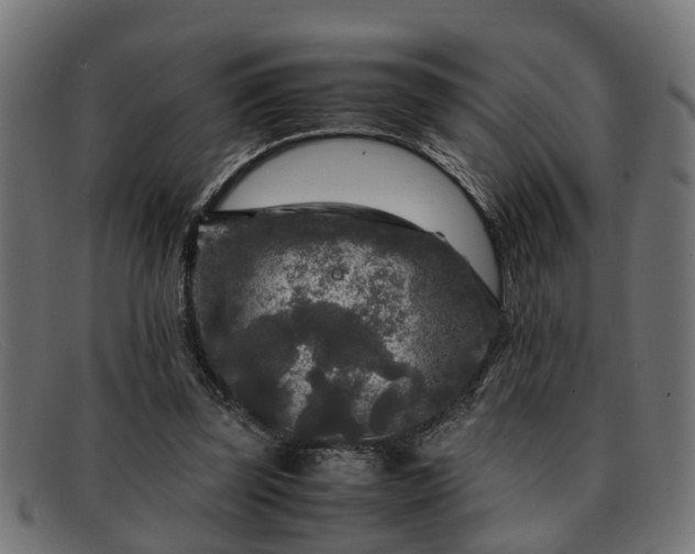 X0000091980347200709131416