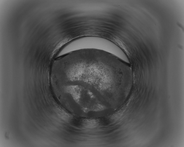 X0000091980349200709131416