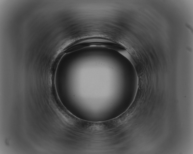 X0000091980350200709131416