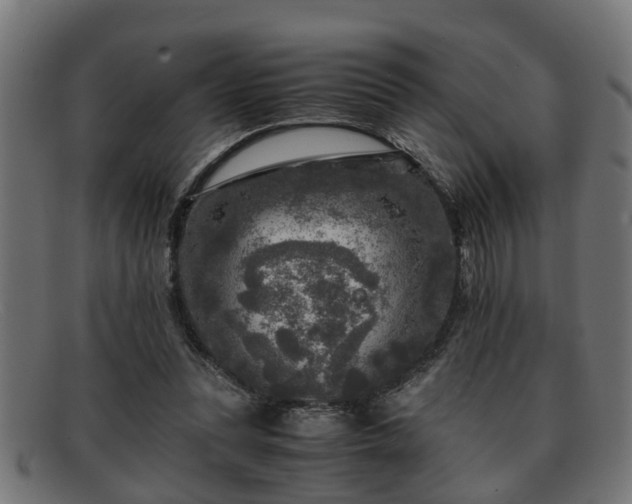 X0000091980351200709131416