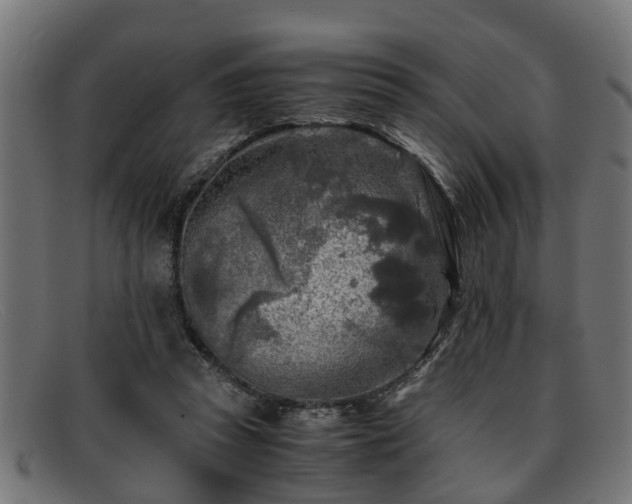 X0000091980353200709131416