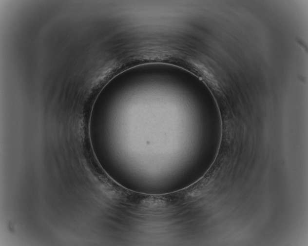 X0000091980354200709131416