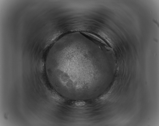 X0000091980355200709131416