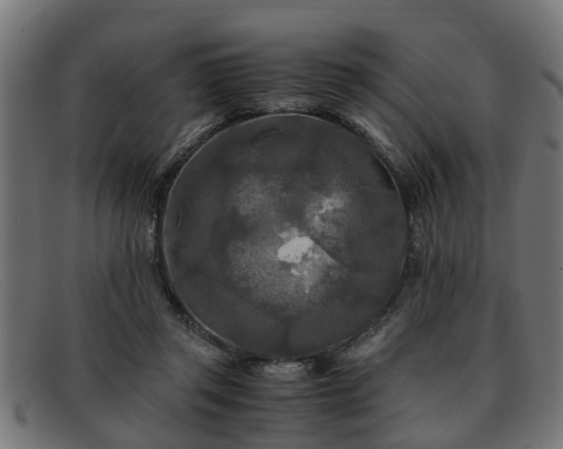 X0000091980357200709131416