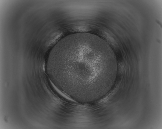 X0000091980358200709131416