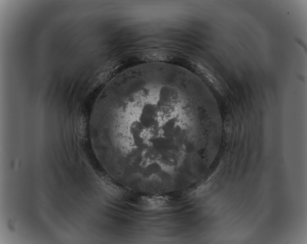 X0000091980359200709131416