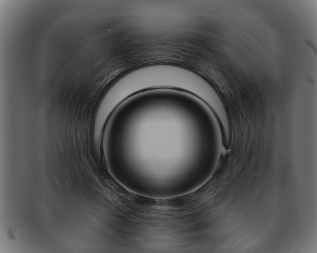 X0000091980360200709131416