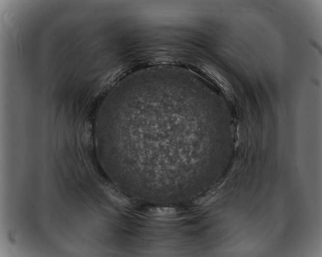 X0000091980361200709131416