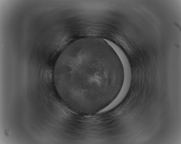 X0000091980363200709131416