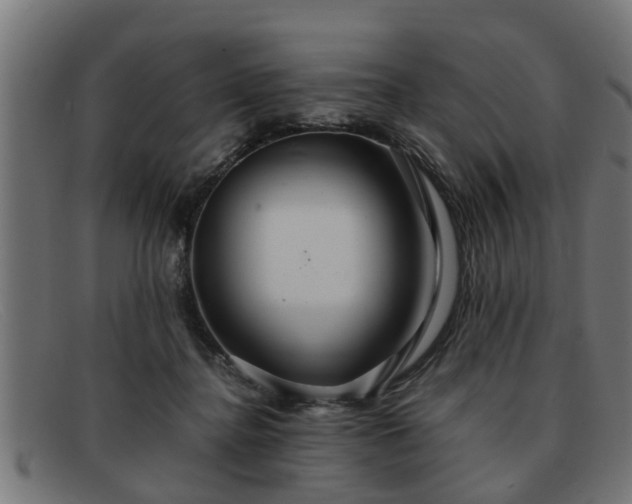 X0000091980364200709131416