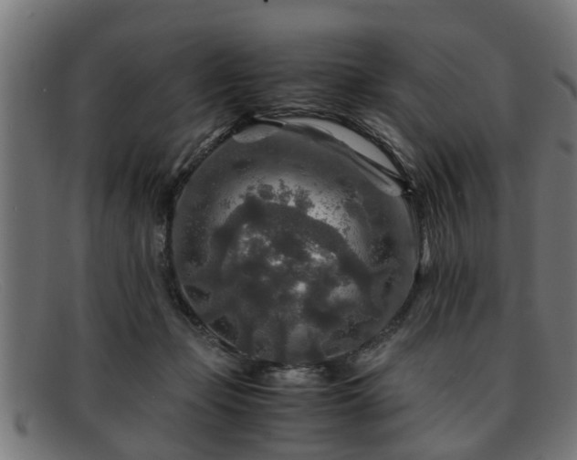 X0000091980365200709131416