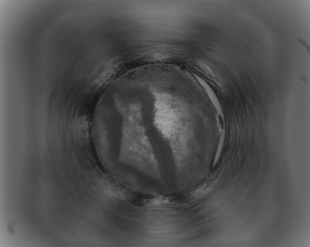 X0000091980366200709131416