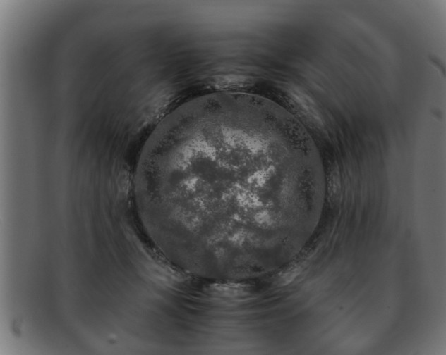 X0000091980367200709131416