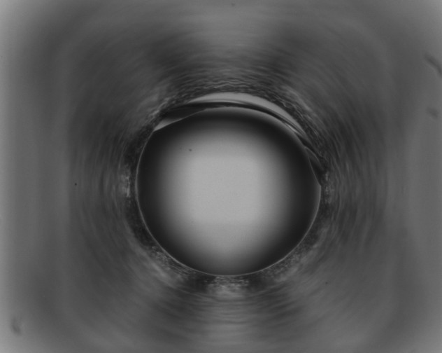 X0000091980368200709131416