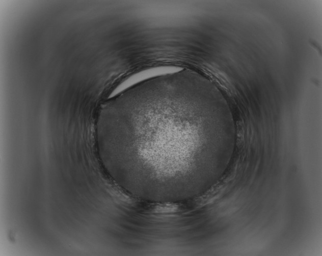 X0000091980369200709131416