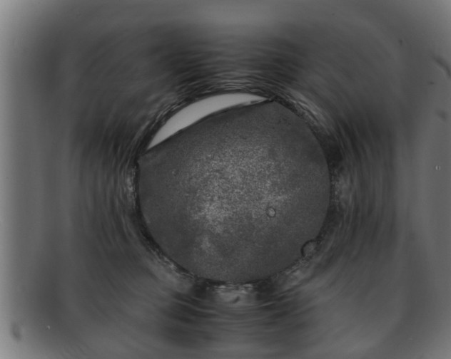 X0000091980373200709131416