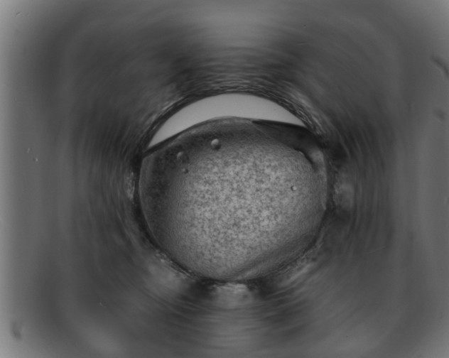 X0000091980374200709131416