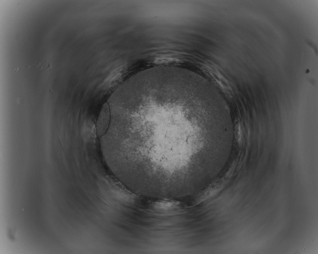 X0000091980375200709131416