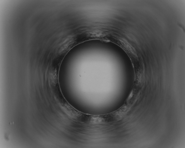 X0000091980376200709131416