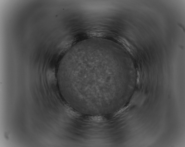 X0000091980377200709131416