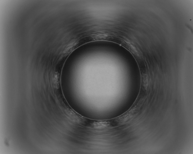 X0000091980378200709131416