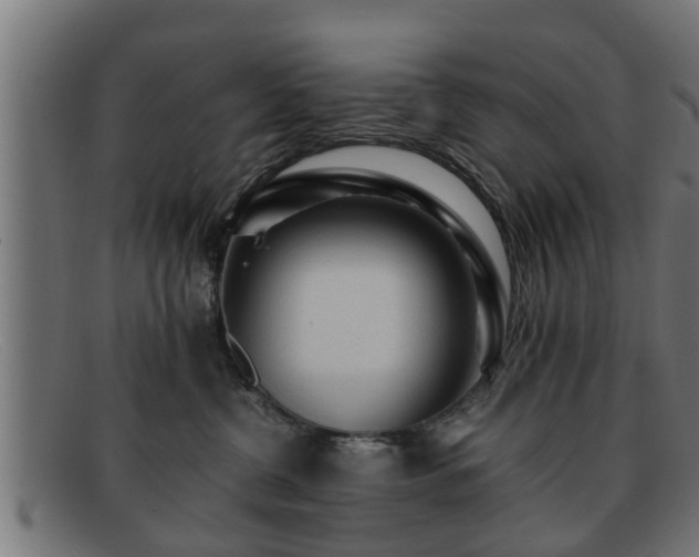 X0000091980380200709131416