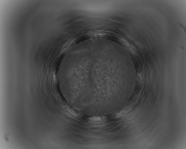 X0000091980381200709131416