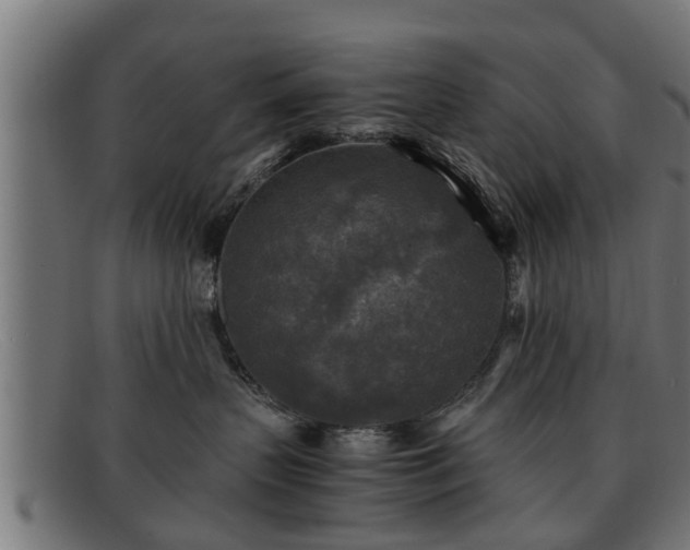 X0000091980383200709131417