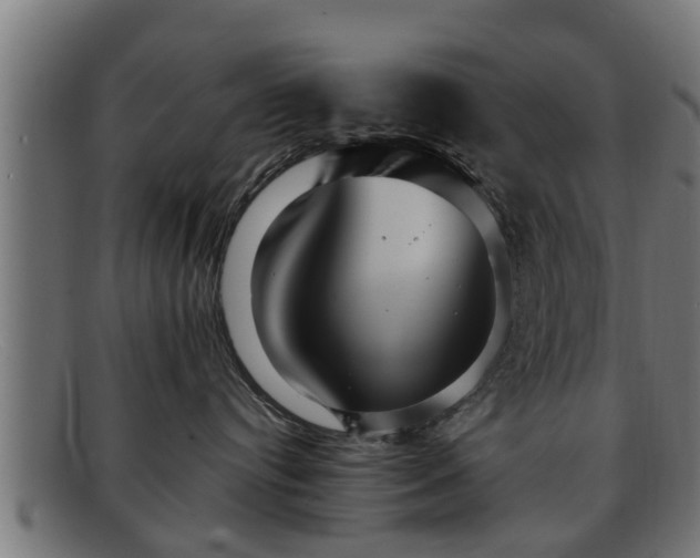 X0000091980384200709131417