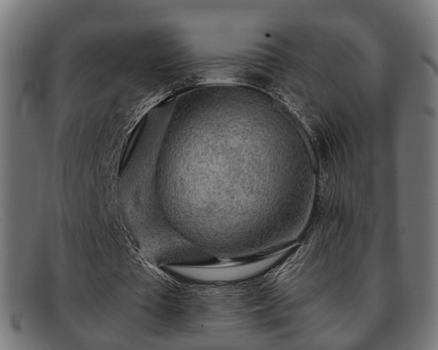 X0000091980385200709131416