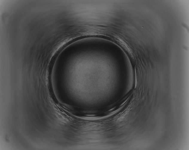 X0000091980387200709131416