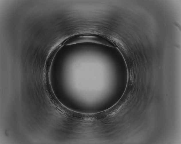 X0000091980388200709131416