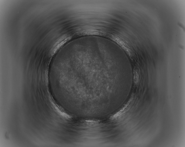 X0000091980390200709131416