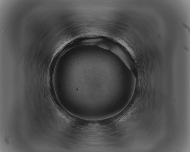 X0000091980391200709131416