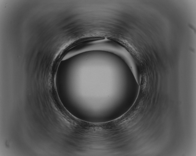 X0000091980392200709131416