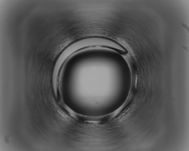 X0000091980393200709131416