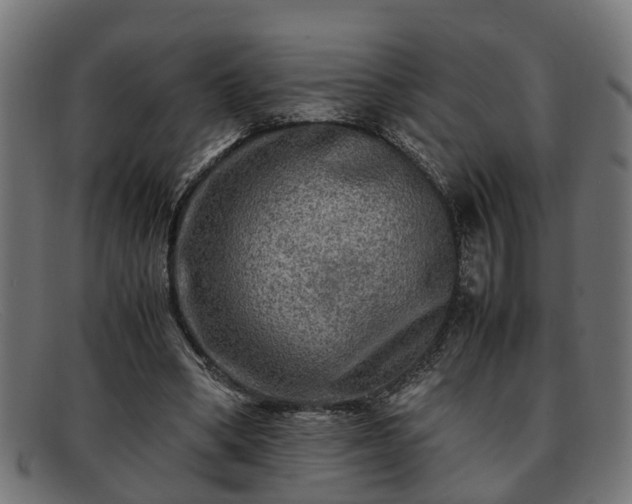 X0000091980394200709131416